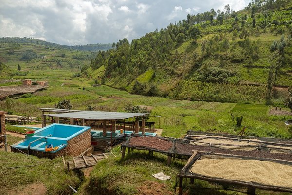 Comment utiliser les eaux de pluie pour les besoins en eau non potable dans les bâtiments publics ?